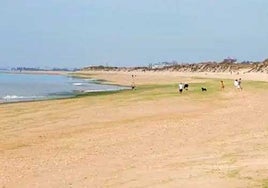 Huelva sufrió el cierre del año más frío y seco del último lustro