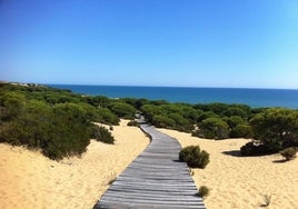 Las mejores playas de Huelva para 2024 según National Geographic: ¿cuáles son?