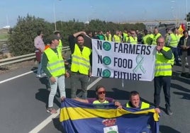 Reabierto el tráfico en la A-49 tras ser cortado por los agricultores participantes en la tractorada