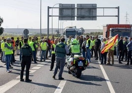 Agricultores marchan a pie hacia Huelva capital tras bloquear la Guardia Civil su avance en tractor