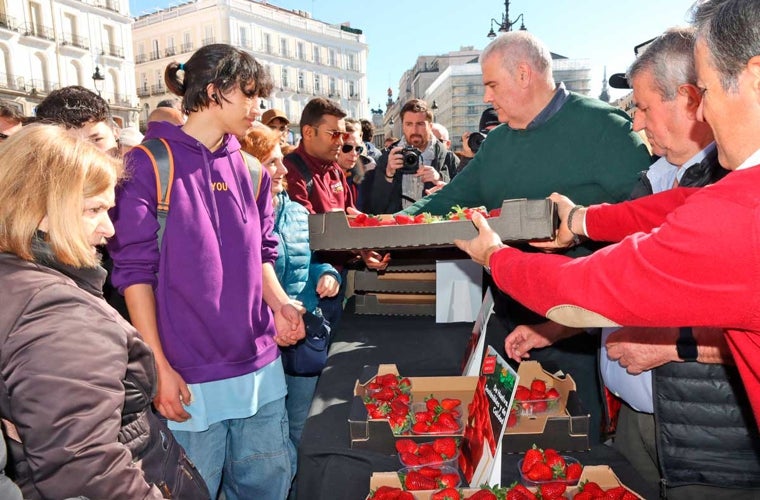 UPA reparte 2.000 tarrinas de fresas de Huelva en la Puerta del Sol para reivindicar la calidad del producto