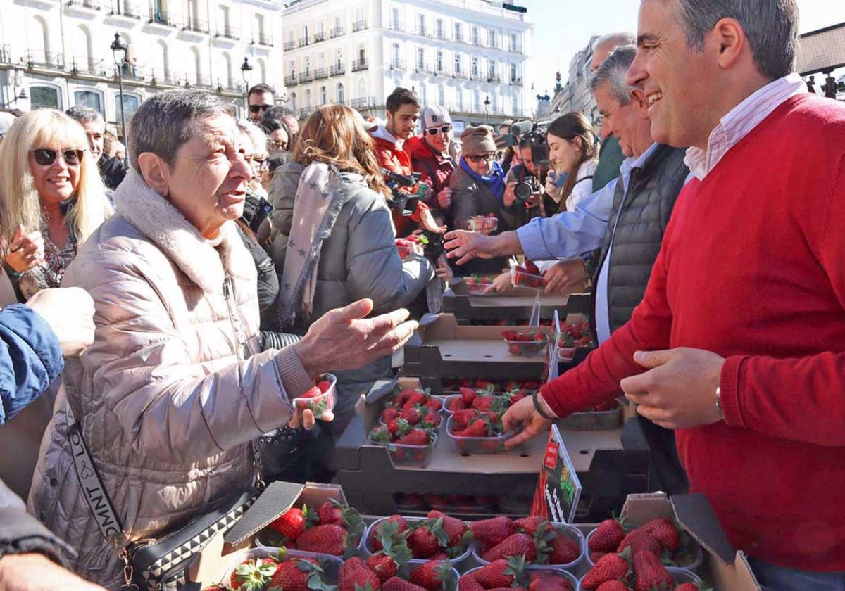 El secretario general de UPA Andalucía, Cristóbal Cano, reparte fresas de Huelva en la Puerta del Sol