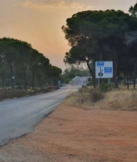 Imagen secundaria 2 - Emplazamiento en el que se proyecta el nuevo complejo de turismo rural en El Rincón, al que se accedería por la carretera ya existente