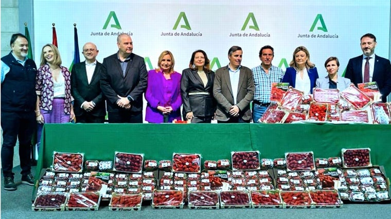 Crespo anima a comprar fresa de Huelva porque es garantía de «un producto de calidad, saludable y sostenible»