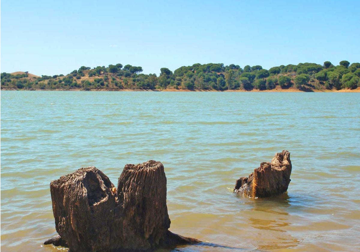 Pantano del Corumbel Bajo