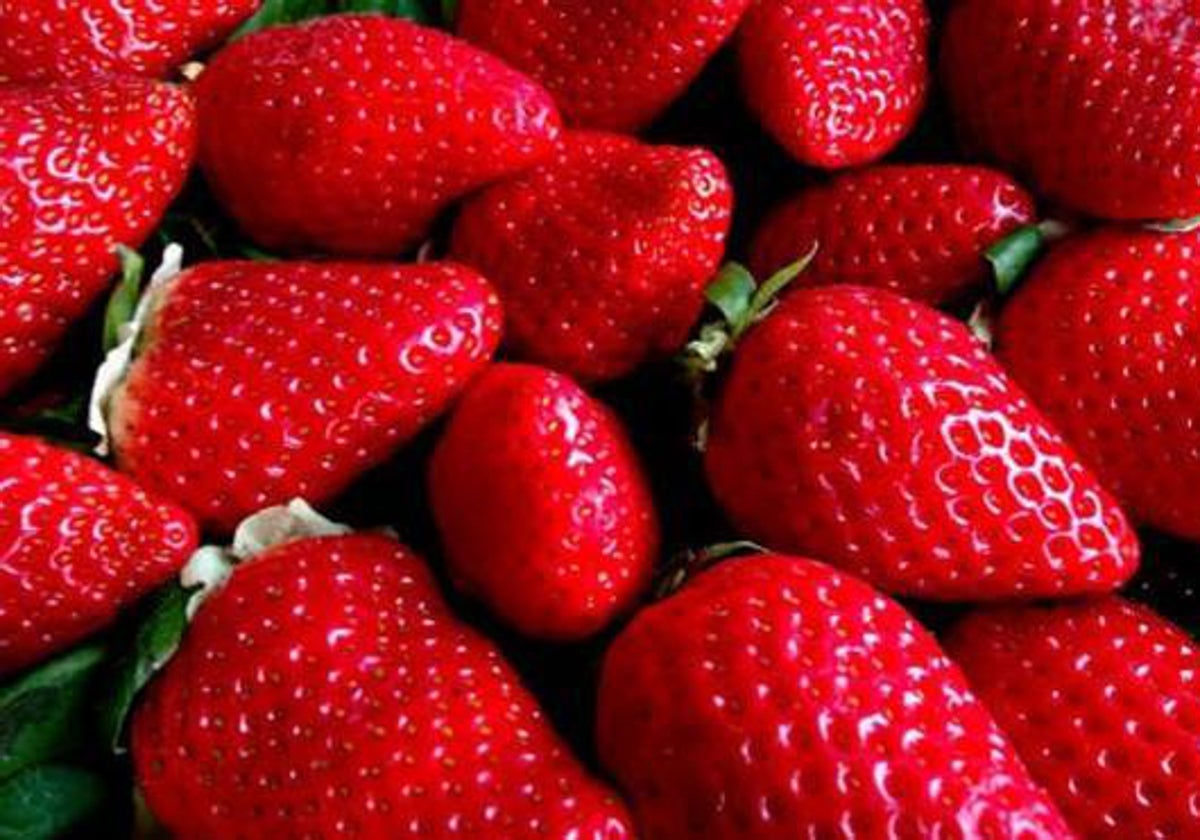 Fresas de Huelva