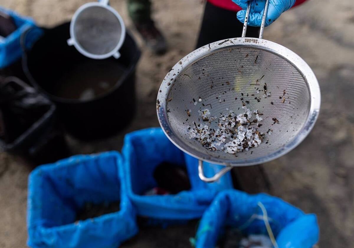 Los pélets hallados en Huelva son diferentes a los del vertido de Galicia