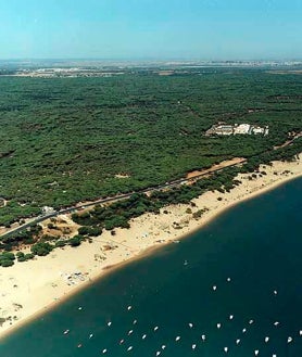 Imagen secundaria 2 - Alternativas para los vecinos de El Portil: estas son las playas más cercanas