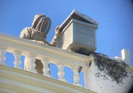 Enjambre de abejas en el castillete del Acebrón