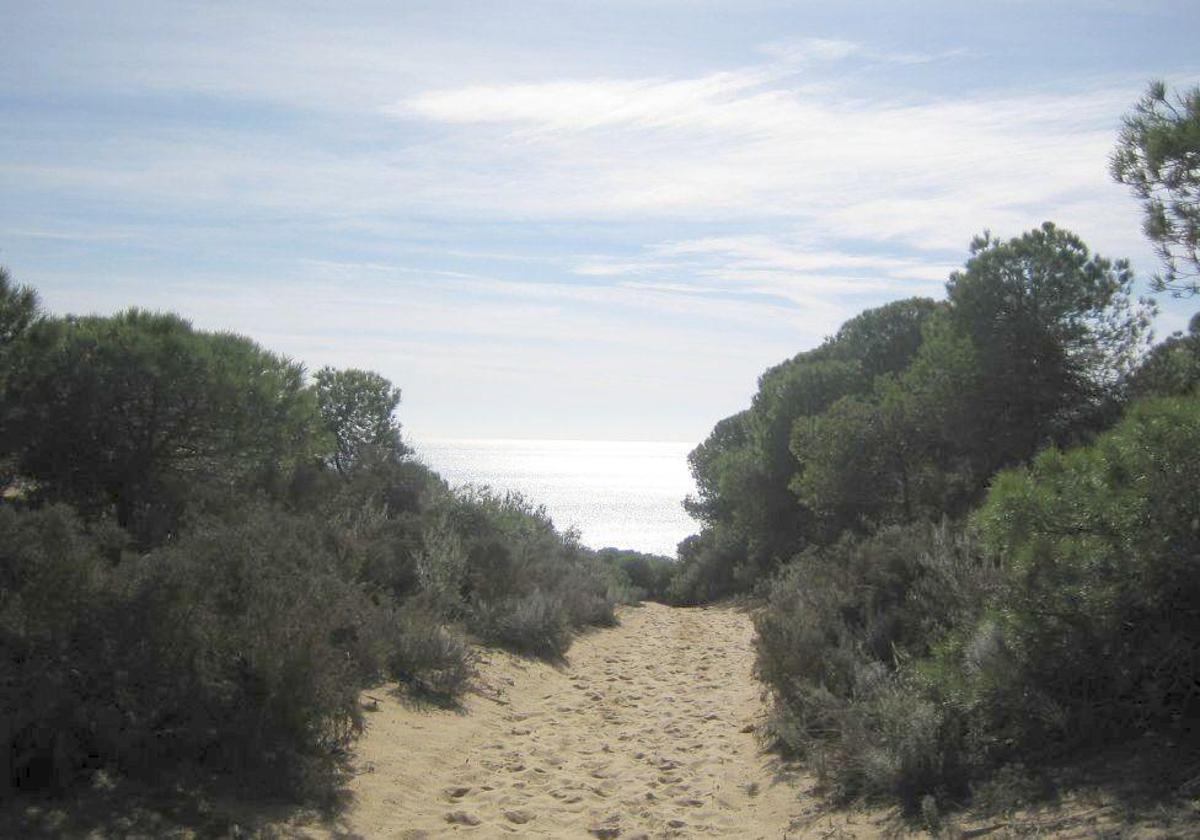 Sendero de la Laguna del Jaral