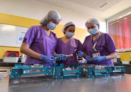 Alumnos de  Enfermería de la UHU realizan sus prácticas en el hospital Infanta Elena de la capital