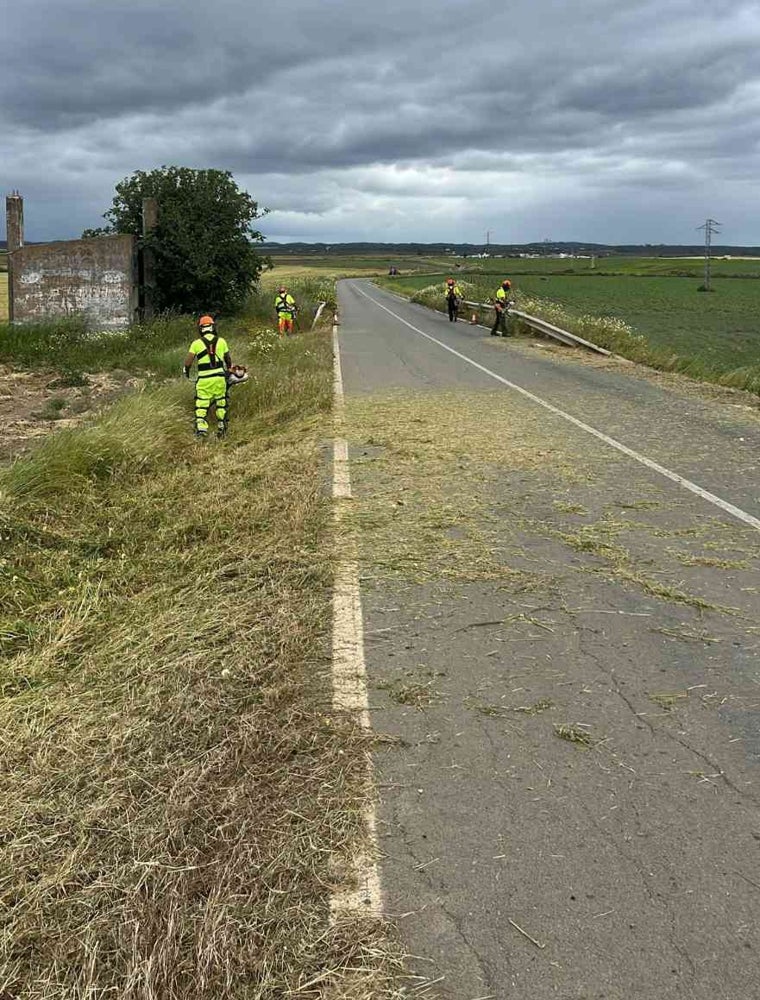 Operarios limpian de maleza los arcenes de una carretera