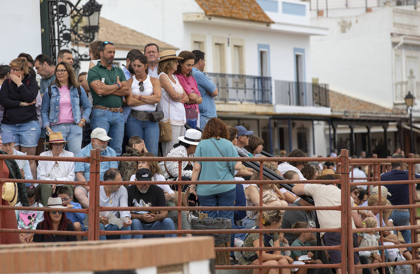 La Saca de las Yeguas 2024, en imágenes