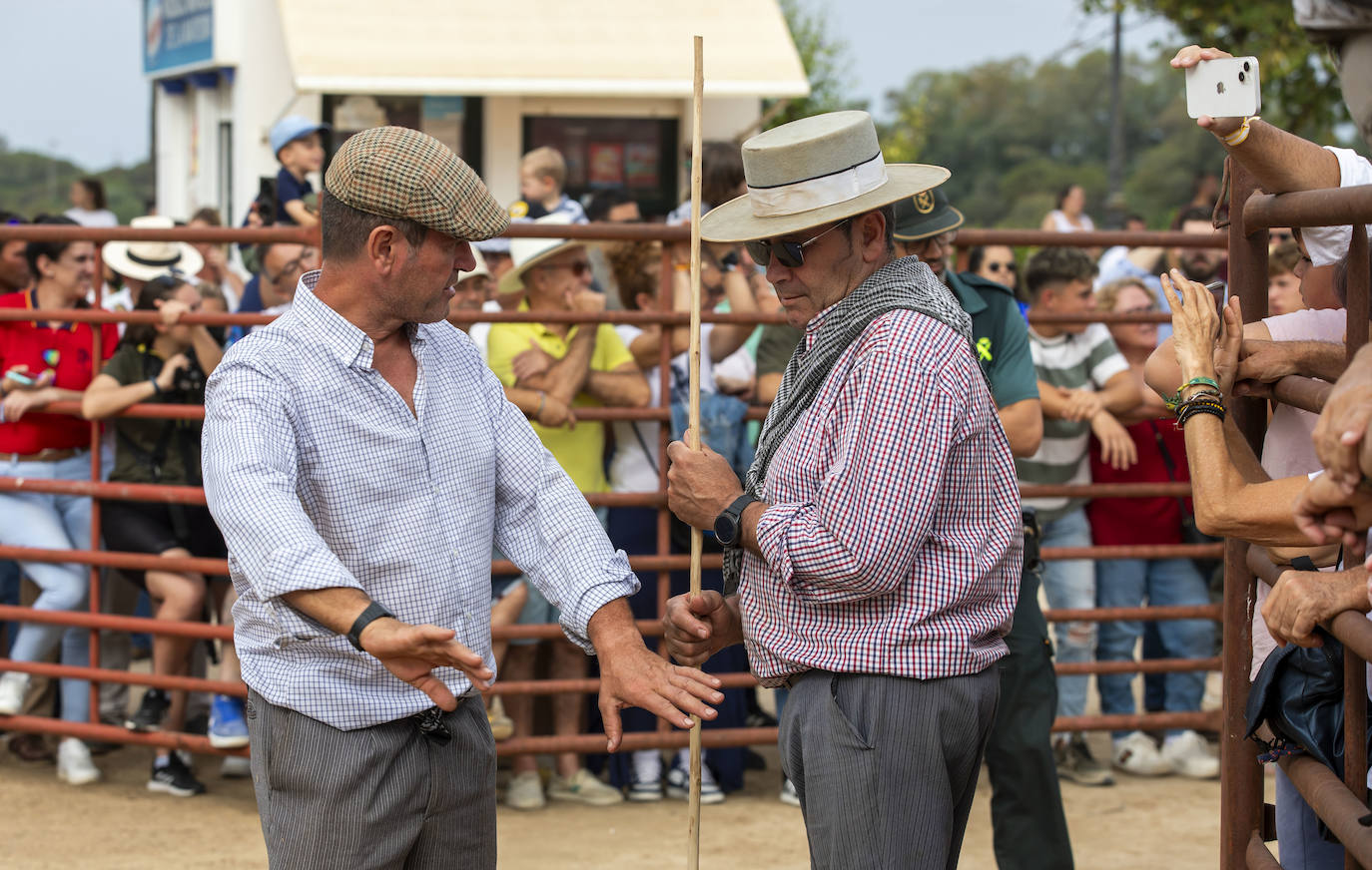 La Saca de las Yeguas 2024, en imágenes
