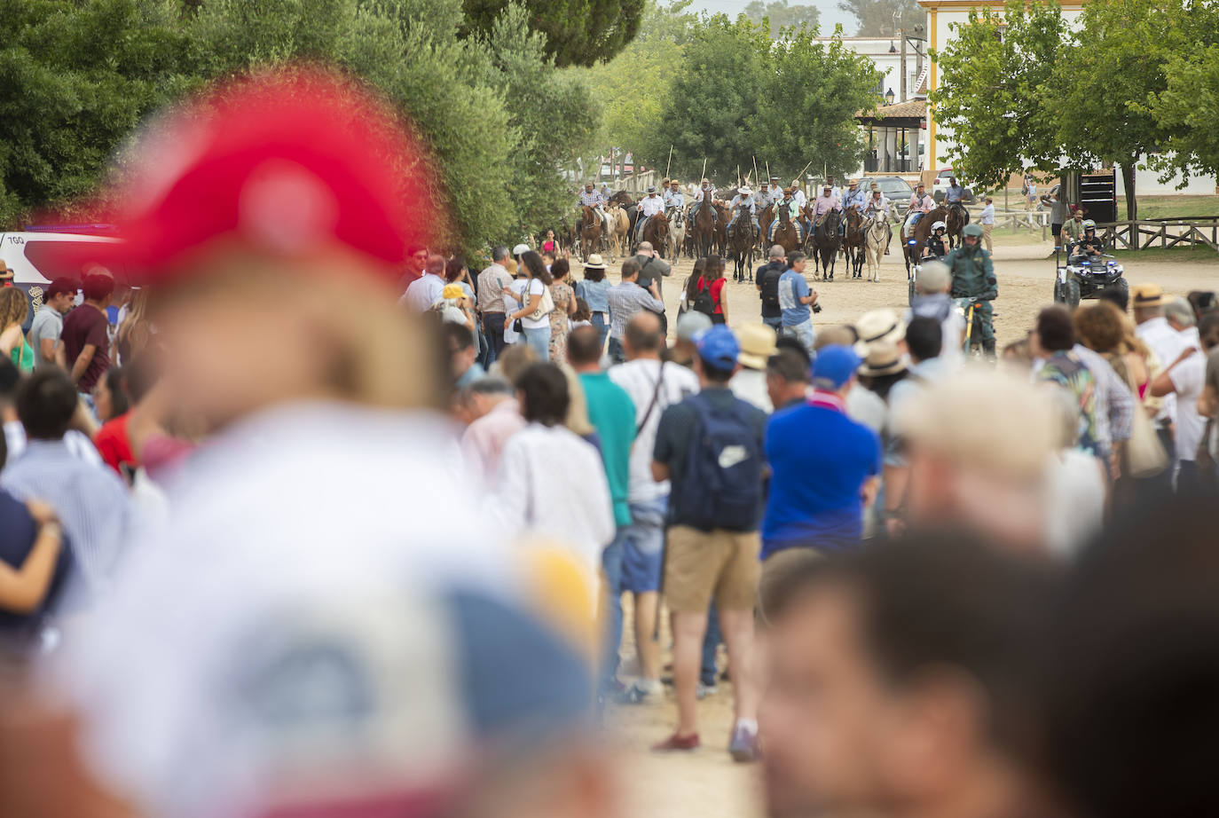 La Saca de las Yeguas 2024, en imágenes