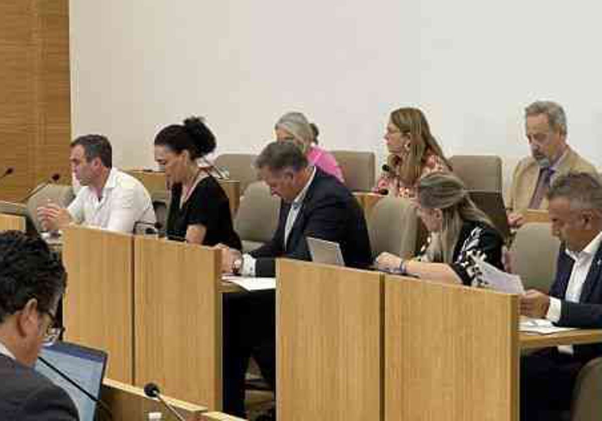 Los socialistas en el pleno de la Diputación