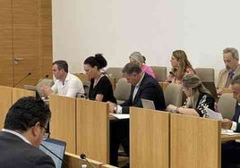 El PSOE acusa al PP de priorizar a la capital y «traicionar» a la provincia con su política sanitaria