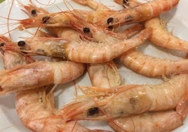 El Portil vuelve a celebrar su Feria de la Gamba y el Jamón: fecha y programación