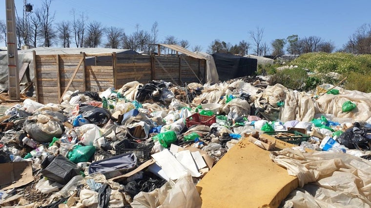 La situación es "dramática e inhumana", denuncian desde Ecologistas en Acción