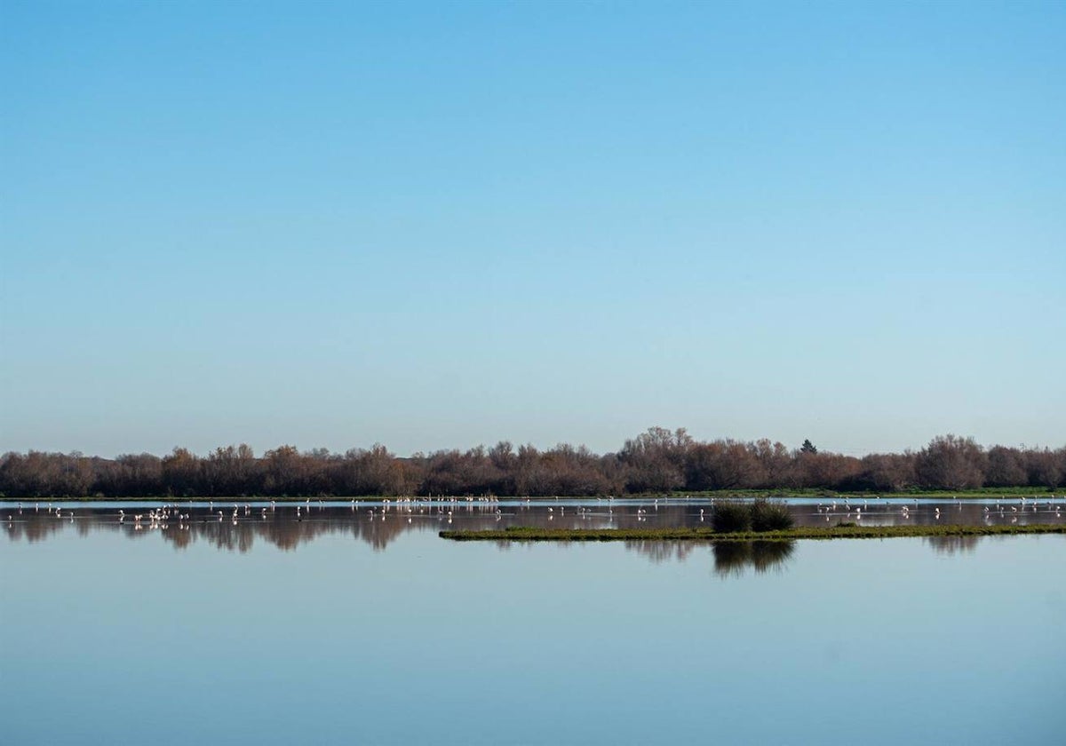 Vista de Doñana