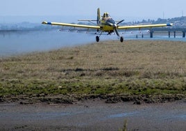 Refuerzo del servicio de control de mosquitos ante el positivo en virus del Nilo detectado en Huelva