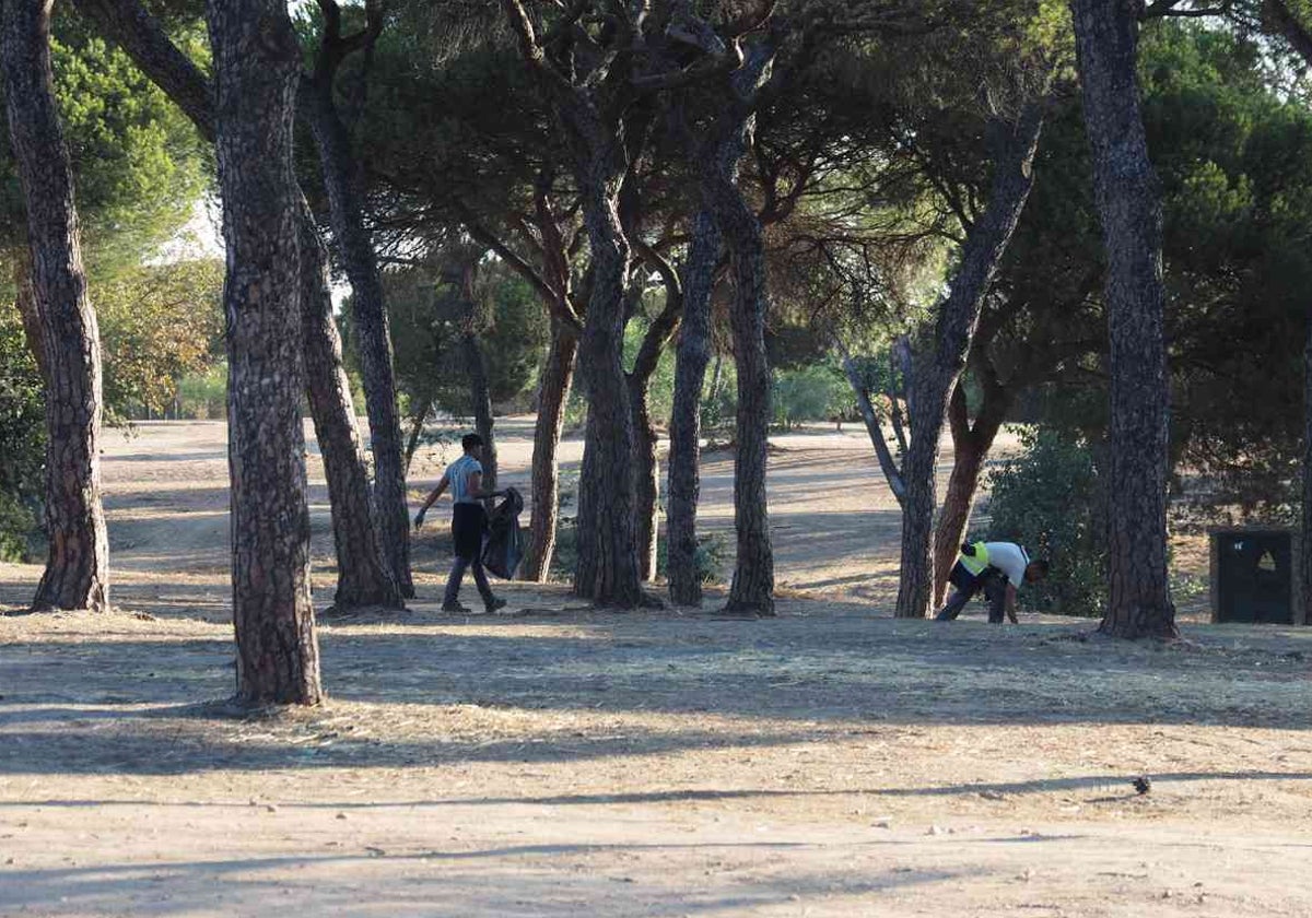 Trabajadores del Ayuntamiento de Palos de la Frontera en el pinar de La Rábida