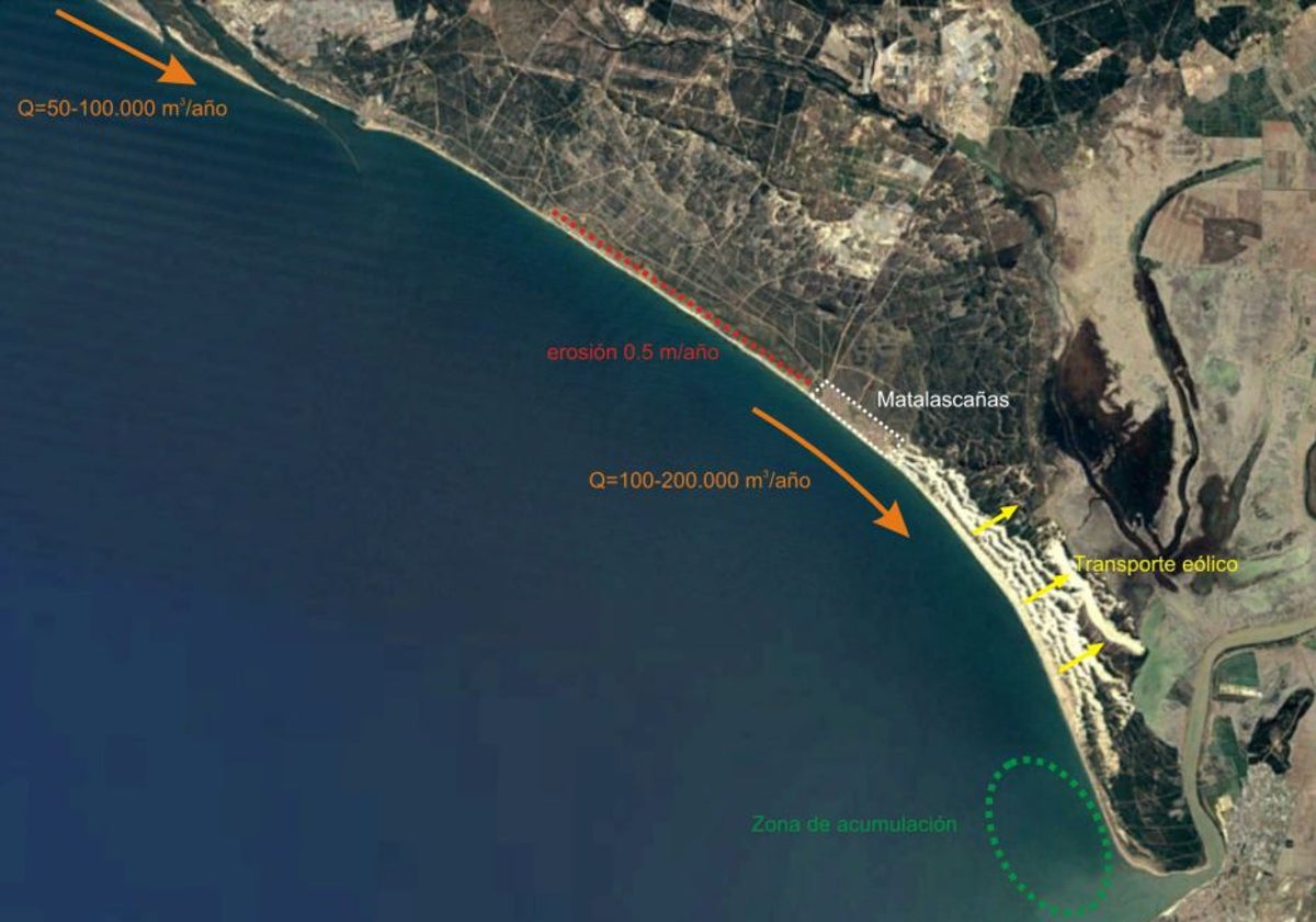 Gráfico de la erosión que afecta a la playa de Matalascañas