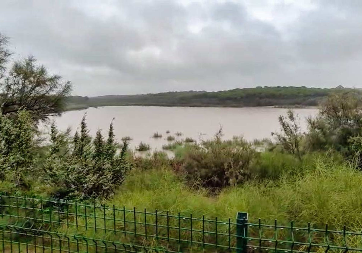 La laguna, esta mañana