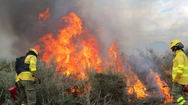 Quemas controladas en Doñana