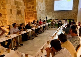 El Gobierno anuncia el pago de 40 millones del Plan Doñana a agricultores