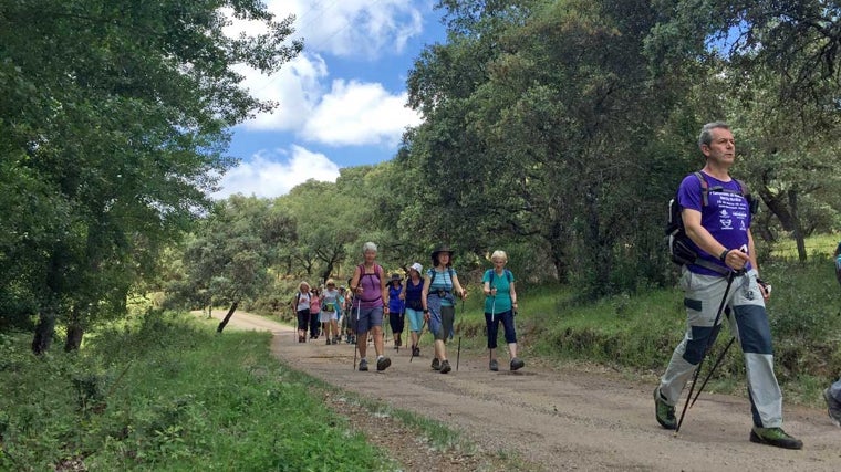 Personas haciendo nordic walking