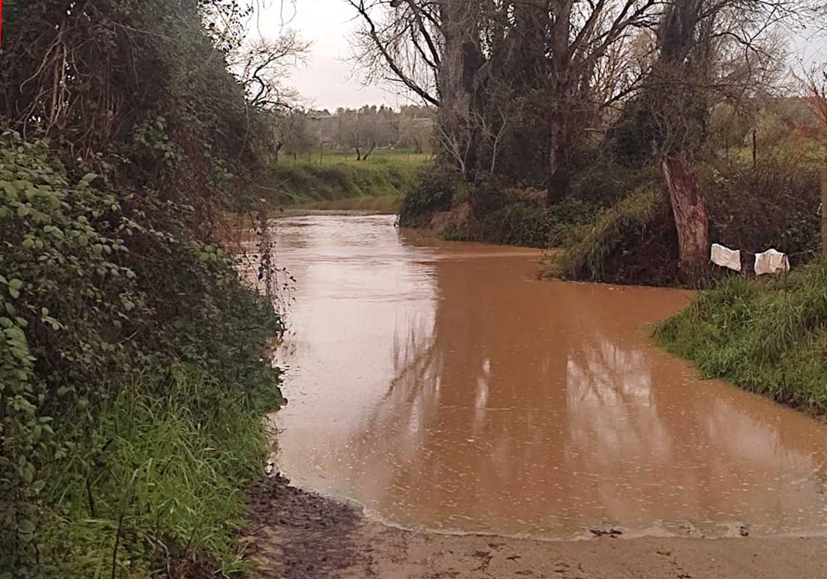 Inundaciones registradas en un camino de Hinojos