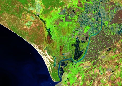 Imagen secundaria 1 - Imágenes del satélite Sentinel II a su paso por Doñana. Arriba, en octubre de 2024 y abajo en enero de 2025