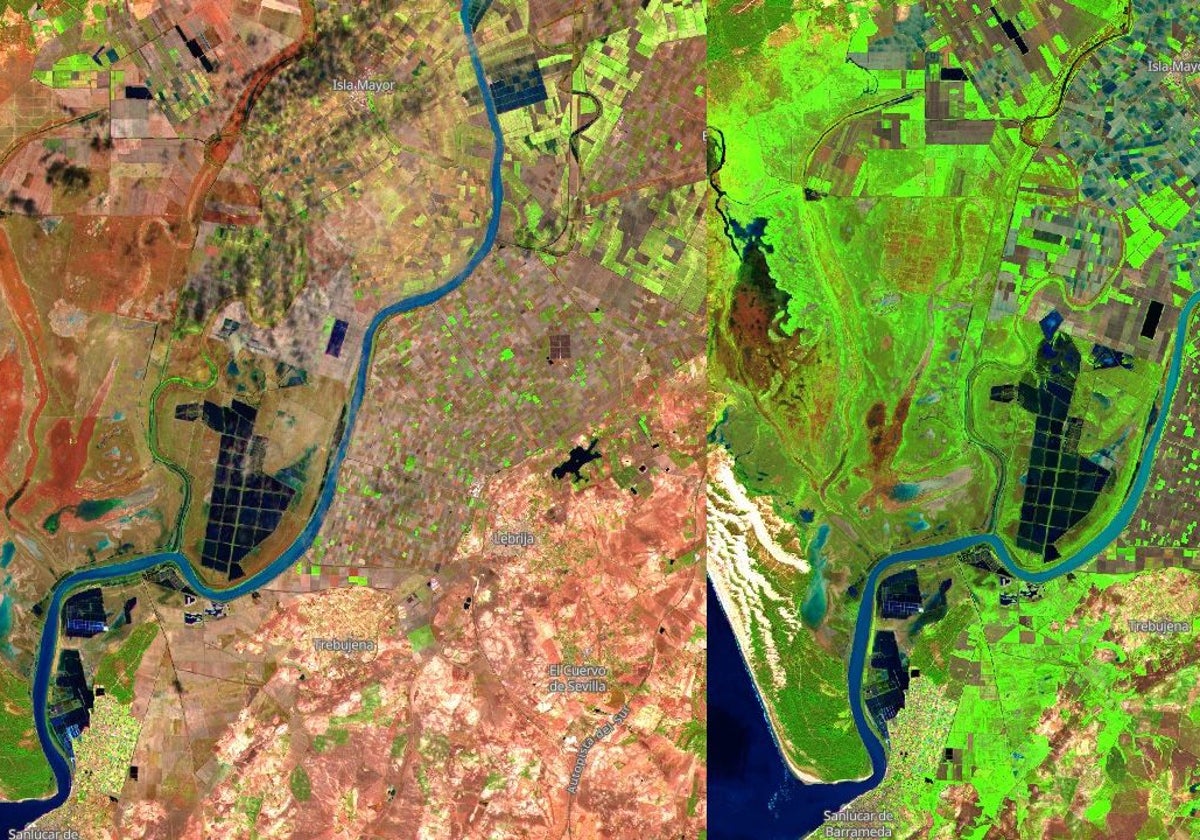 Imagen por satélite de Doñana en octubre de 2024 y enero de 2025