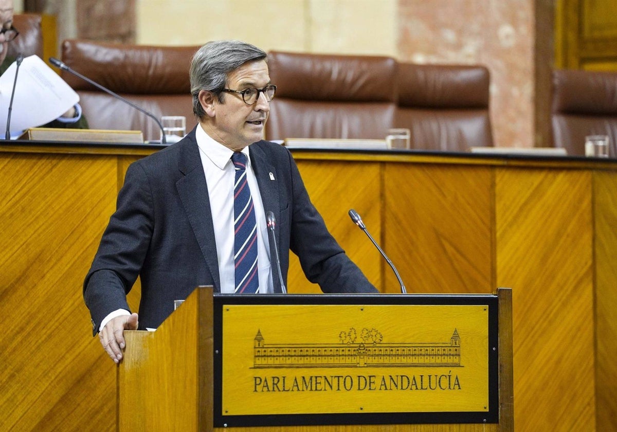 El consejero de Industria, Jorge Paradela, en el Parlamento de Andalucía