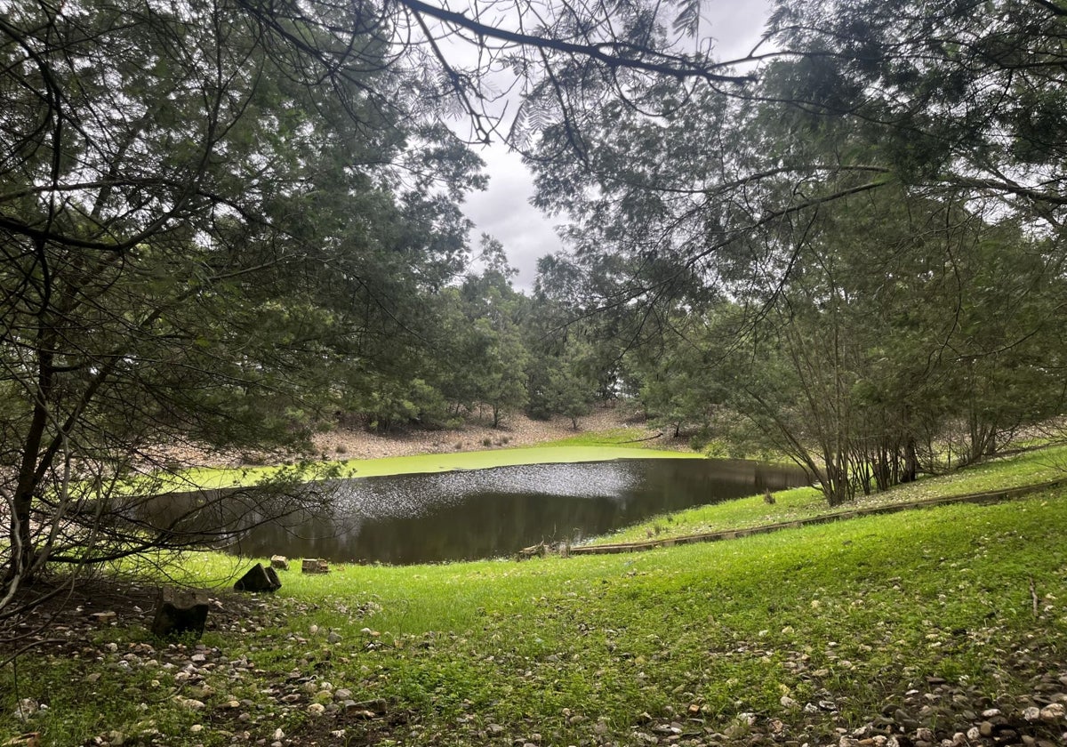 Una de las balsas de la finca Los Mimbrales, en Almonte