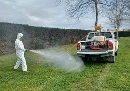 Primera oleada de mosquitos del año en Huelva: «Vamos a la caza y captura»