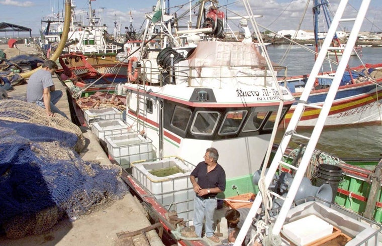 Pesqueros en el puerto de Isla Cristina