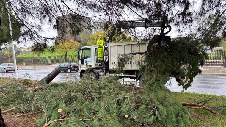 Borrasca Jana en Huelva: Continúa la lluvia, pero sin avisos de la Aemet en la provincia