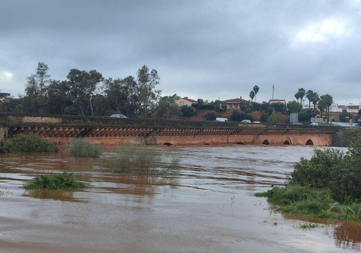 La crecida del río Tinto este lunes a su paso por Niebla