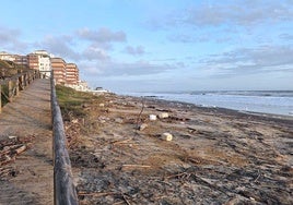 Llamada desesperada desde Matalascañas: «La playa presenta un aspecto un poco lamentable»