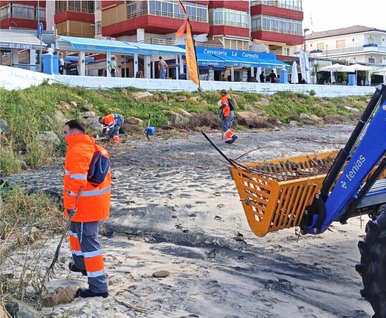 'Operación limpieza' en Matalascañas: Almonte moviliza recursos extraordinarios para rescatar la Semana Santa