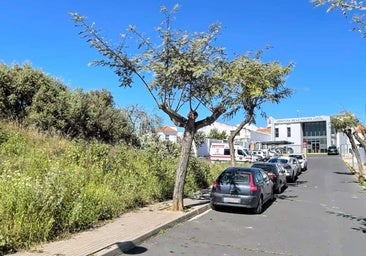 Crimen machista de Cartaya: El presunto asesino de Rocío se colgó a escasos metros de la Jefatura de la Policía Local