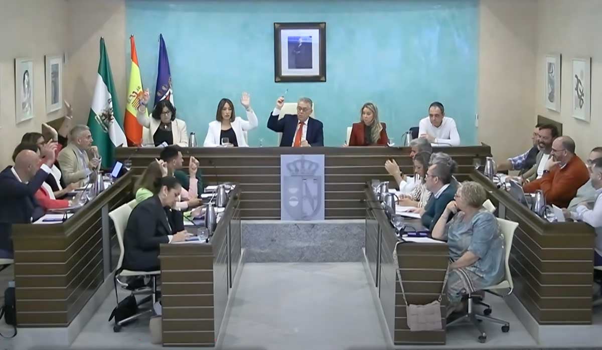 Momento de la votación recurrida por el PSOE
