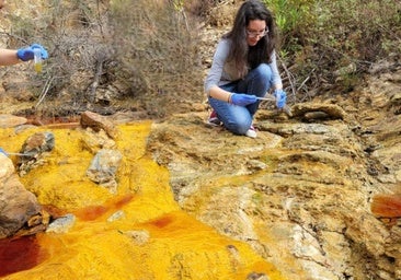 Descubren el poder antiinflamatorio de una microalga del río Tinto