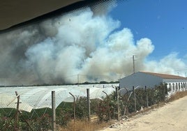 Incendio forestal en Moguer: el fuego, probablemente provocado, ha afectado a un asentamiento chabolista