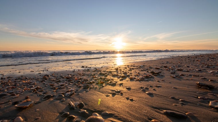 Playa de Mazagón (Huelva)