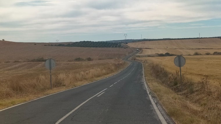 Carretera entre Niebla y Beas