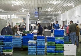 La Junta licita por más de medio millón de euros la modernización de la lonja del puerto de Ayamonte