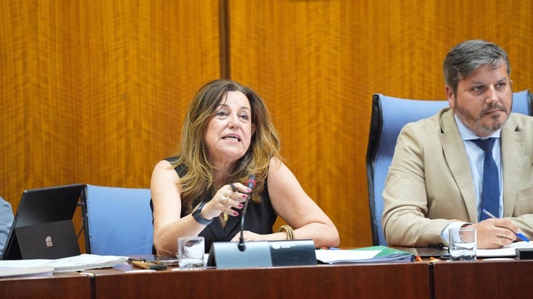 La consejera de Desarrollo Educativo, en su comparecencia